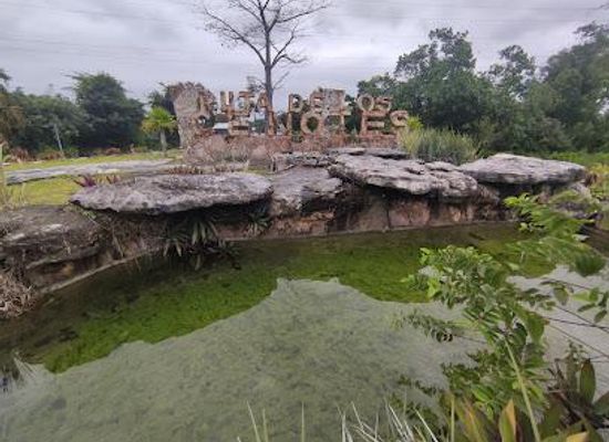 mexico/cozumel/attraction/monumento-ruta-de-los-cenotes
