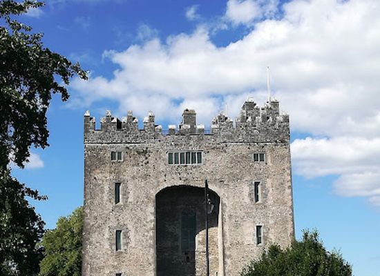 ireland/county-clare/attraction/shannon-heritage