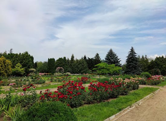 moldova/tiraspol/attraction/national-botanic-garden