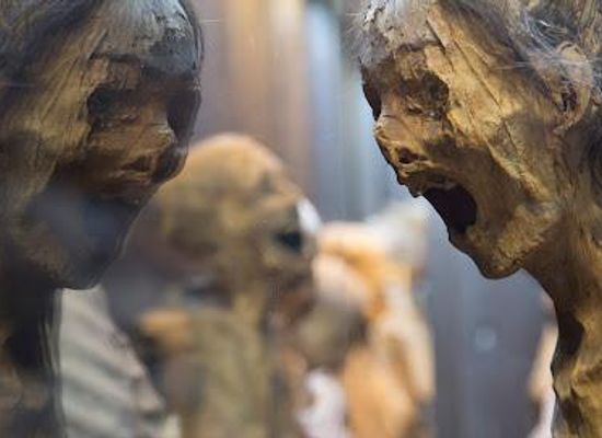 mexico/guanajuato/attraction/museum-of-the-mummies-of-guanajuato