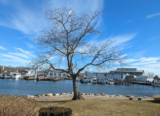 connecticut/southeastern-connecticut/attraction/mystic-museum-of-art