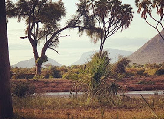 kenya/northern-frontier-district/attraction/buffalo-springs-national-reserve