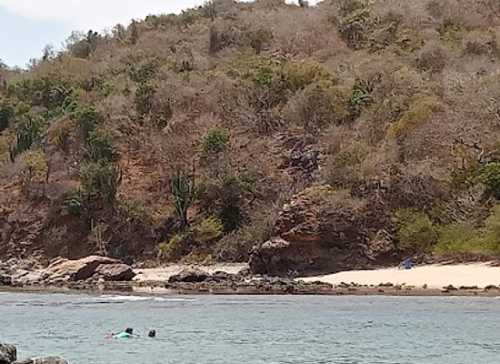 mexico/ixtapa-zihuatanejo/attraction/la-isla-de-ixtapa-zihuatanejo-playa-coral