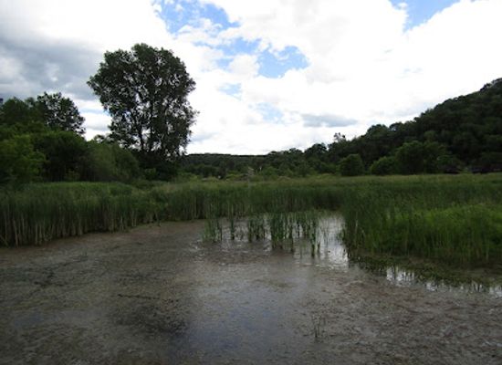 iowa/driftless-area/attraction/driftless-area-wetlands-centre