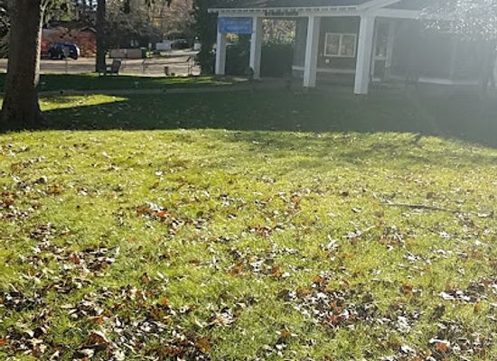 massachusetts/martha-s-vineyard/attraction/martha-s-vineyard-hebrew-center