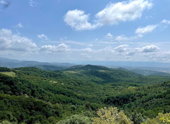 georgia/rabun-bald/attraction/sataplia-nature-reserve
