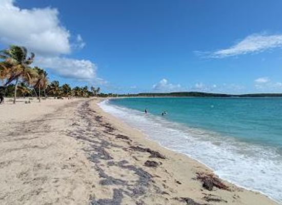 puerto-rico/vieques/attraction/sun-bay-beach
