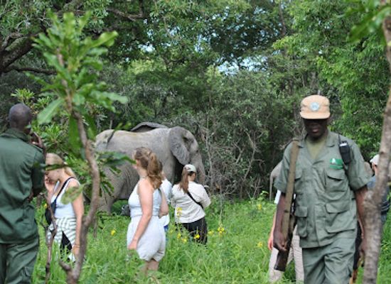 ghana/tamale/attraction/savannah-standard-tours