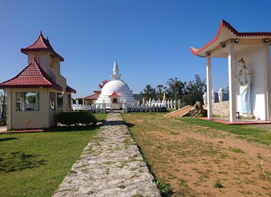 sri-lanka/nuwara-eliya/attraction/swarnagiri-maha-viharaya-single-tree-temple