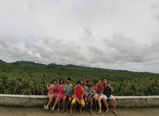 philippines/caraga/attraction/coconut-view-v1