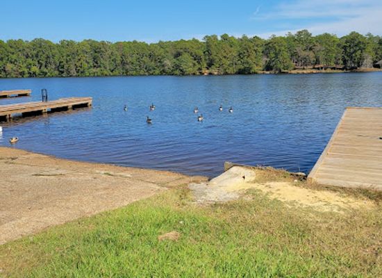 mississippi/the-black-prairie/attraction/de-soto-national-forest