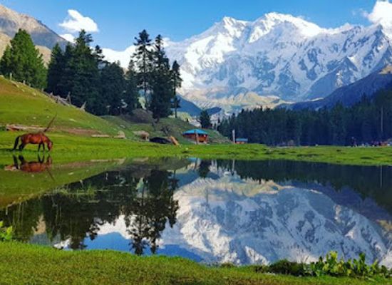 pakistan/nanga-parbat-base-camp/attraction/fairy-meadows