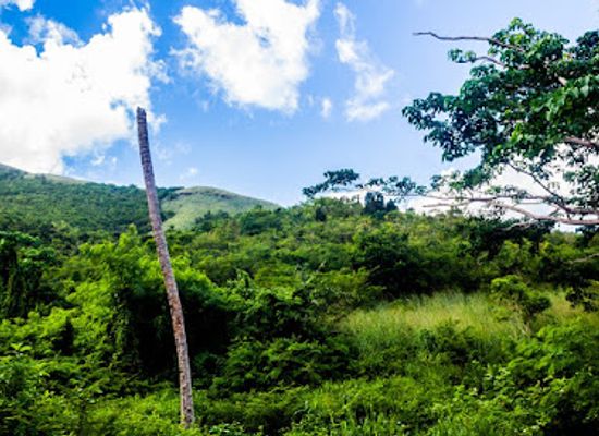 antigua-and-barbuda/indian-town-point/attraction/body-ponds-nature-park