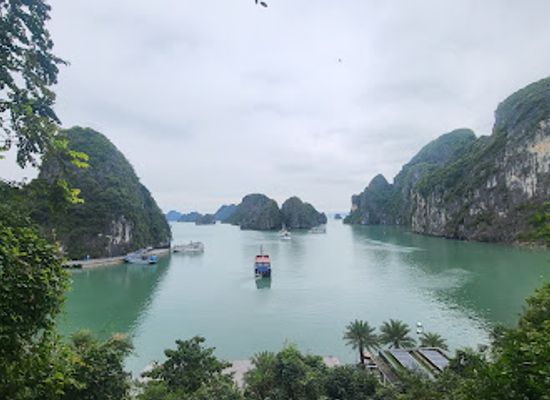 vietnam/ha-long/bai-chay/attraction/la-muse-cruise