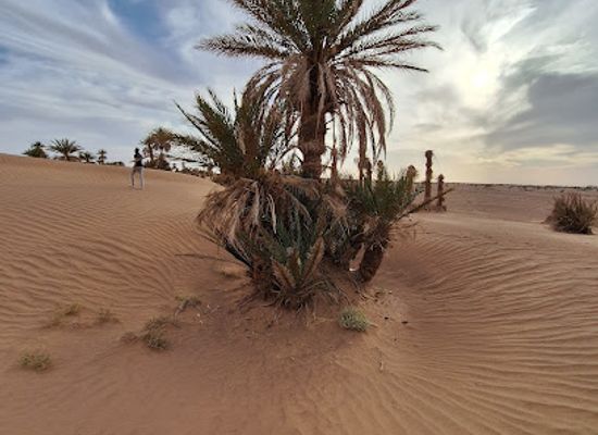 morocco/sahara-desert/attraction/mhamid-el-ghizlane-desert