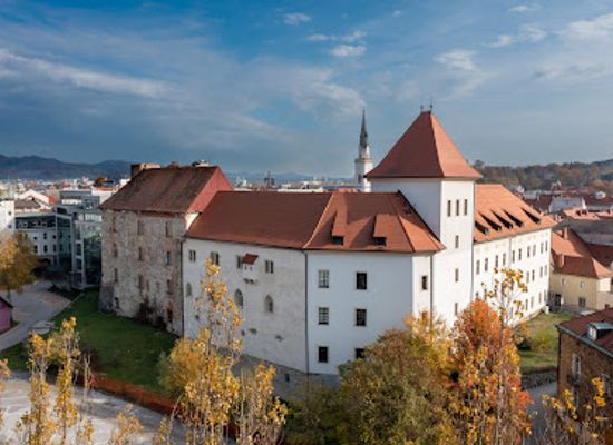 slovenia/celje/attraction/regional-museum-of-celje
