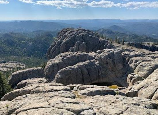 south-dakota/custer/attraction/black-hills-national-forest