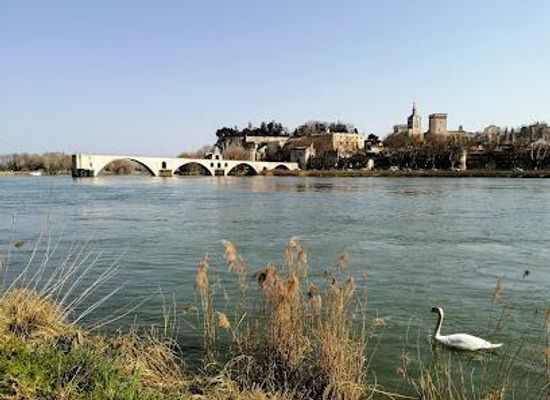 france/languedoc/attraction/ile-de-la-barthelasse