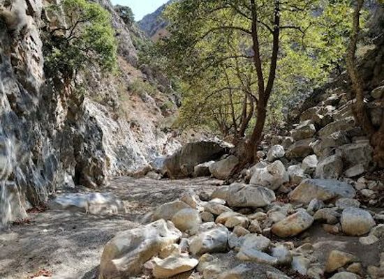 greece/crete/attraction/prassano-gorge