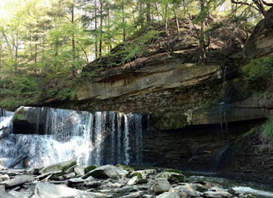 ohio/cuyahoga-valley-national-park/attraction/brecksville-reservation