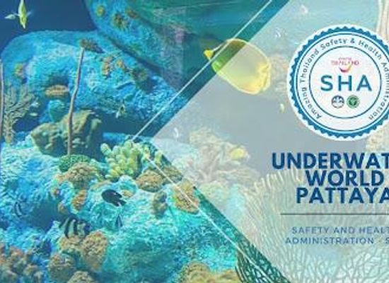 thailand/rayong/attraction/underwater-world-pattaya