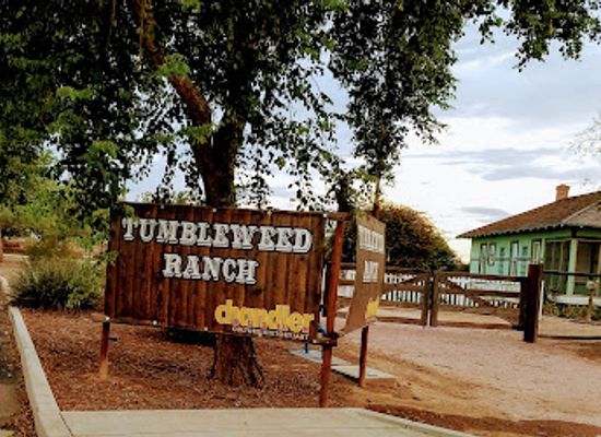 arizona/chandler/attraction/tumbleweed-ranch
