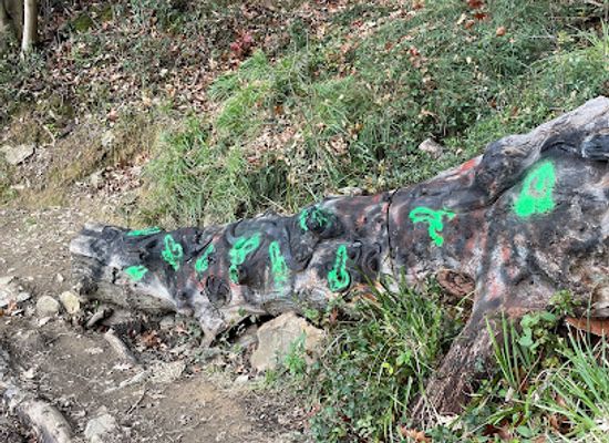 spain/bilbao/deusto/attraction/bosque-magico-de-ugasko