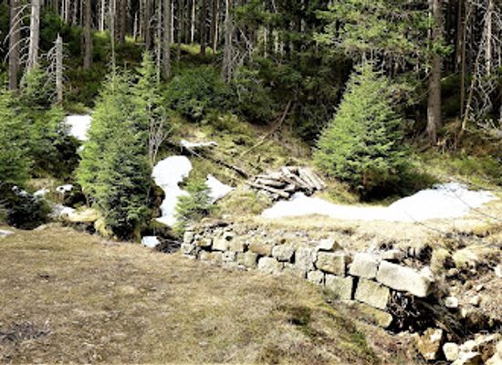 poland/karkonosze-mountains/attraction/zapomniany-most