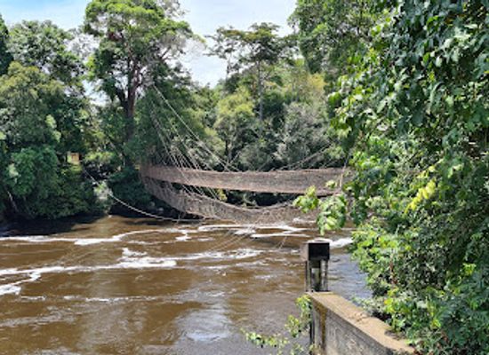 gabon/upper-ogooue-province/attraction/liana-bridge-of-poubara