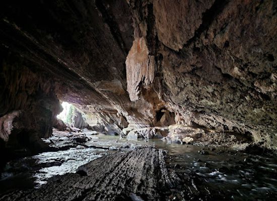australia/tasmania/attraction/honeycomb-cave