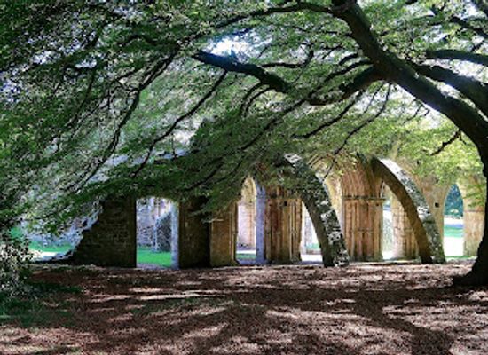 united-kingdom/dyfed/attraction/margam-country-park