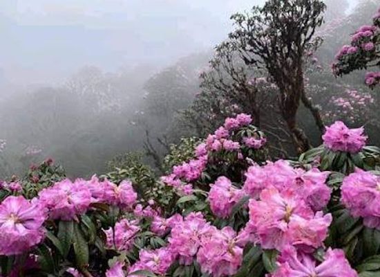 vietnam/sapa/attraction/nam-cang