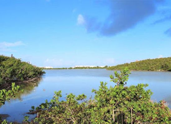 anguilla/katouche-bay/attraction/lago-cover-pond