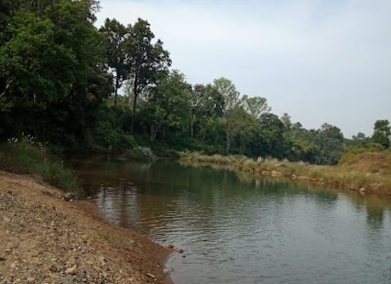 india/raipur/attraction/haritima-garden