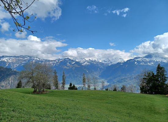 switzerland/bernese-oberland/attraction/amisbuhl-hang-gliding-and-paragliding-launch