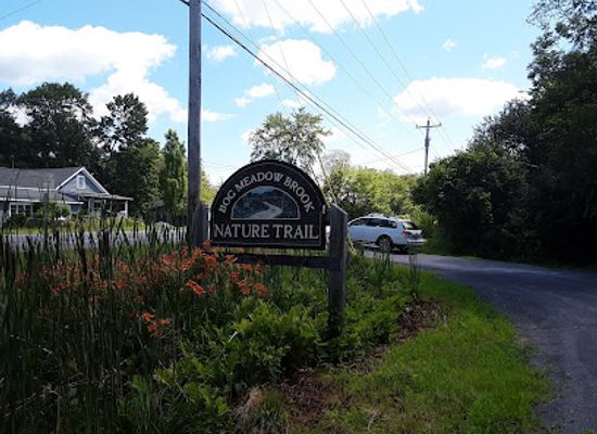 new-york/saratoga-springs/attraction/bog-meadow-brook-nature-trail