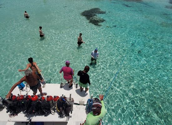 belize/southern-belize-barrier-reef/attraction/seahorse-dive-shop