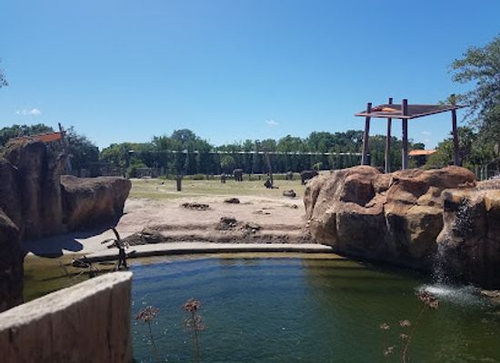 florida/tampa/attraction/zootampa-at-lowry-park