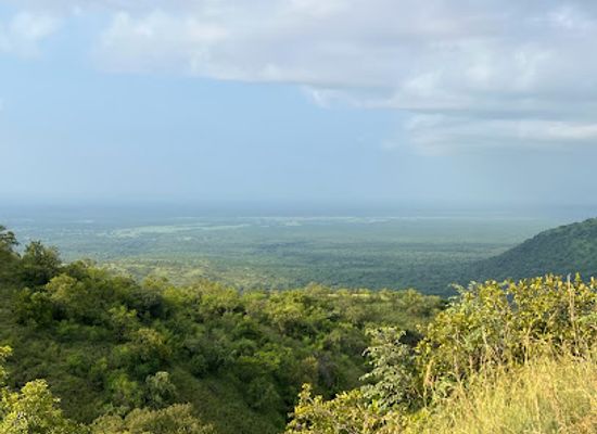 ethiopia/turmi/attraction/mago-national-park