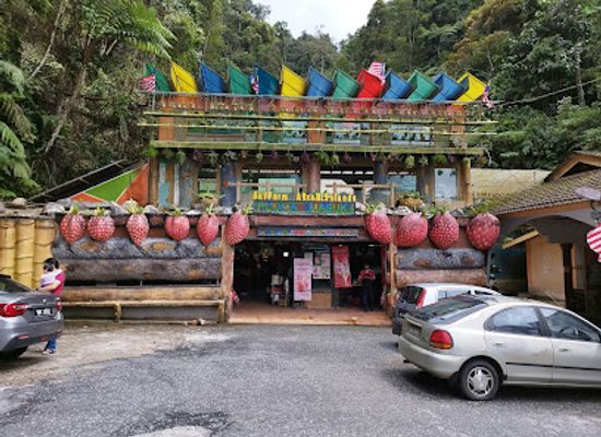 malaysia/cameron-highlands/attraction/sky-farm-agro-highlands-sg-bisik