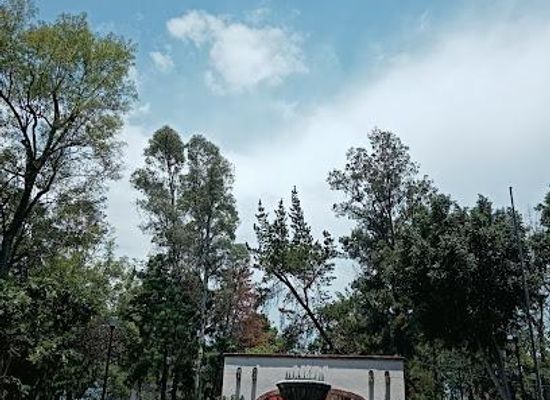 mexico/mexico-city/attraction/plaza-san-jacinto