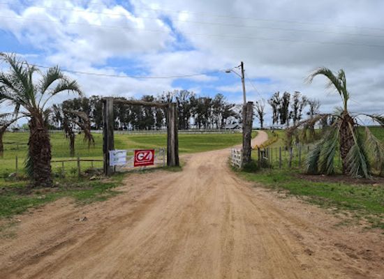 uruguay/aigua/attraction/la-fomento