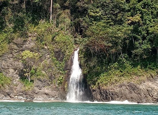 costa-rica/central-pacific/attraction/parque-nacional-corcovado