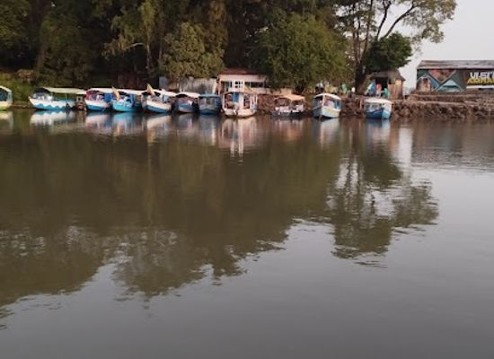 ethiopia/lake-tana/attraction/mango