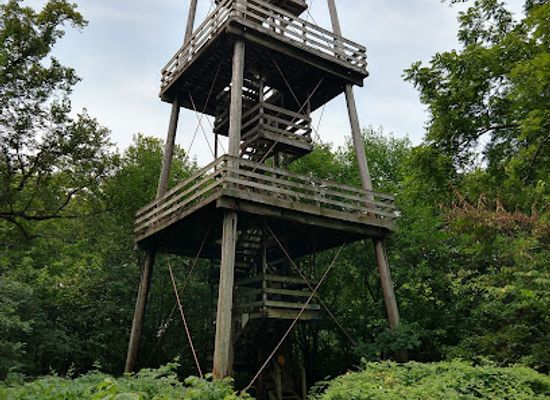 illinois/driftless-area/attraction/belmont-mound-state-park