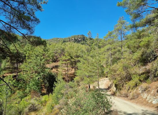 cyprus/troodos/attraction/nature-trail