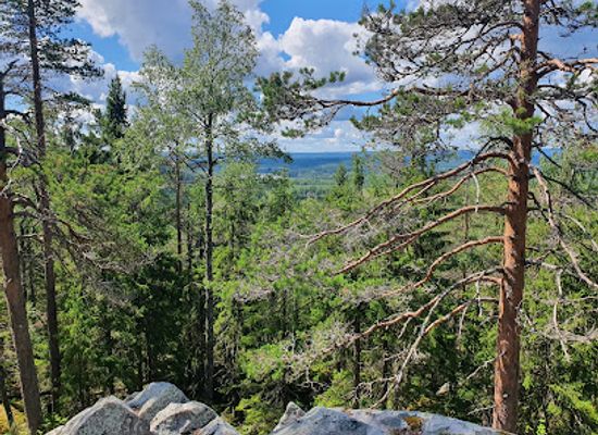 finland/north-karelia/attraction/pisa-nature-preserve