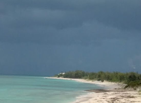 the-bahamas/abaco-islands/attraction/great-guana-cay-abaco-bahamas