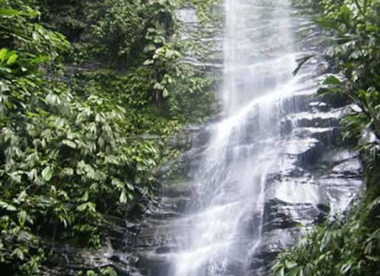 ecuador/napo-region/attraction/cascadas-islom