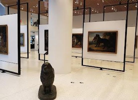 new-york/new-york-city/attraction/akc-museum-of-the-dog